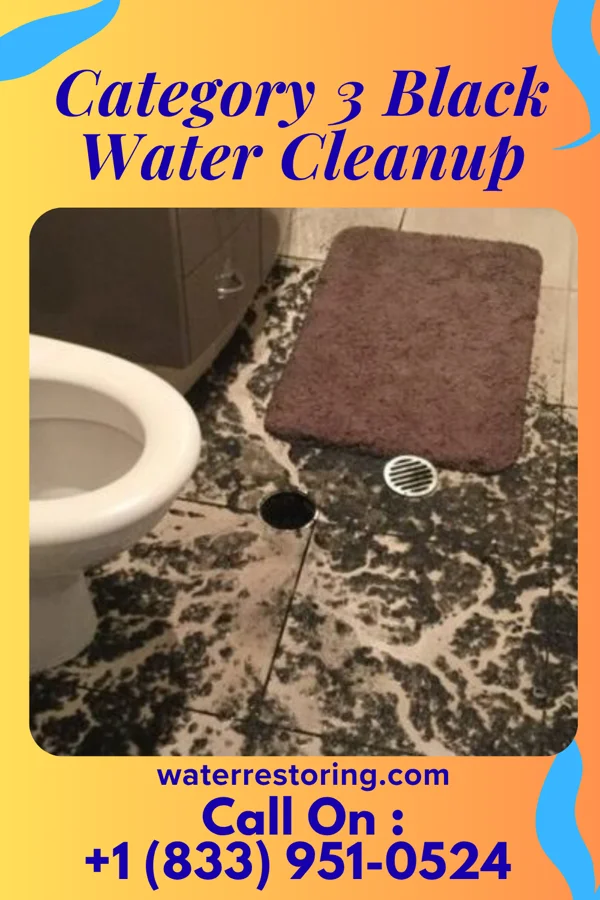 Category 3 Black Water Cleanup in Gilbert, MN
