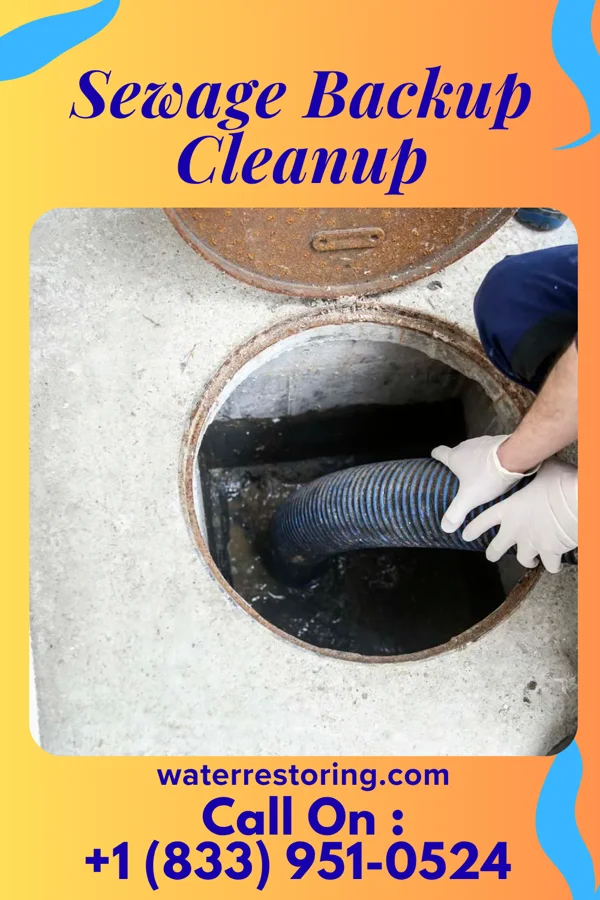 Sewage Backup Cleanup in Gilbert, MN